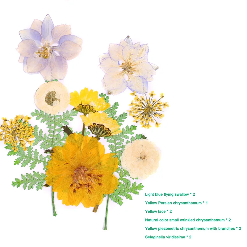 Stlačené Kvet Zmiešané Sušené Kvety DIY Umenie Kvetinový Dekoroch Kolekcie Darček Plavidlá DIY SP99