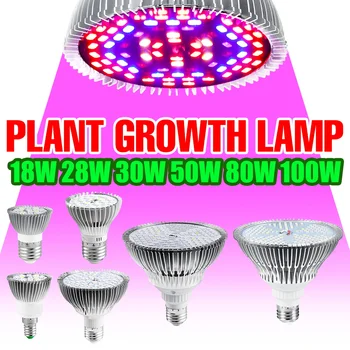 220V LED Phyto Lampy celé Spektrum Reflektor E27 Rastlín Rastú Svetlo Skleníkových Rast Žiarovka Hydroponics Zelenina Rastie Systém