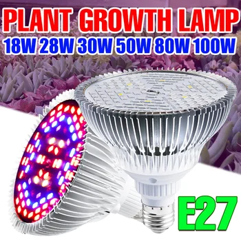LED Rastlín Rastú Spot Light 220V LED celé Spektrum Phyto Lampa Skleníkových Žiarovka 18W 28W 30W 50W 80W 100W Pre Domáce Rastliny Semená kvetov