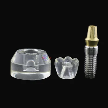 Nové Zubné Typodont Implantát Štúdia Zuby Model Arcylic Jedného Zuba Koruny Base Stomatológia Výučby Model nástroj 2